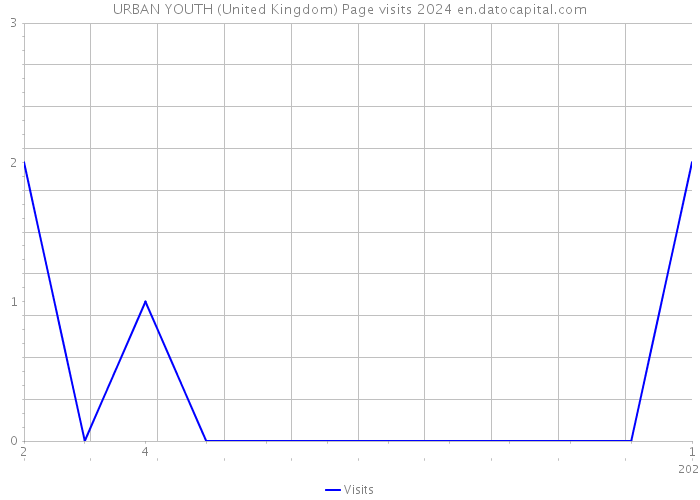 URBAN YOUTH (United Kingdom) Page visits 2024 