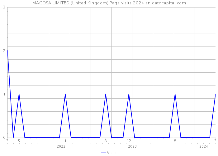 MAGOSA LIMITED (United Kingdom) Page visits 2024 