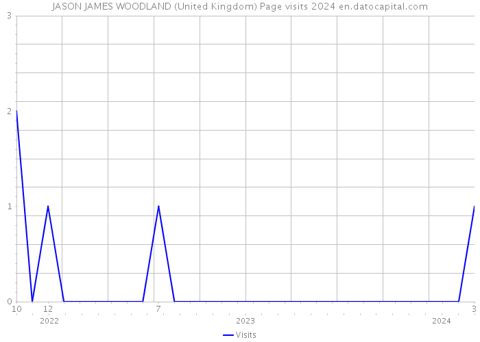 JASON JAMES WOODLAND (United Kingdom) Page visits 2024 