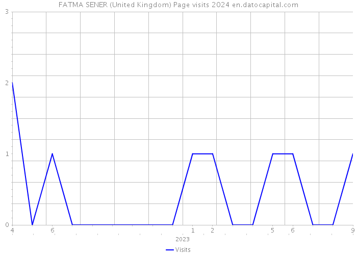FATMA SENER (United Kingdom) Page visits 2024 
