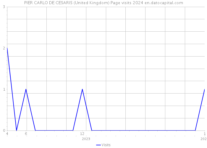 PIER CARLO DE CESARIS (United Kingdom) Page visits 2024 
