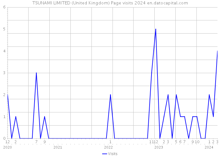 TSUNAMI LIMITED (United Kingdom) Page visits 2024 