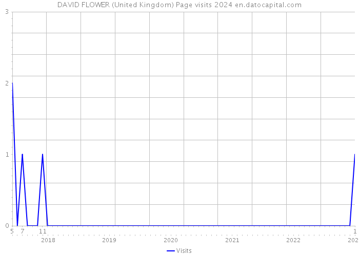 DAVID FLOWER (United Kingdom) Page visits 2024 