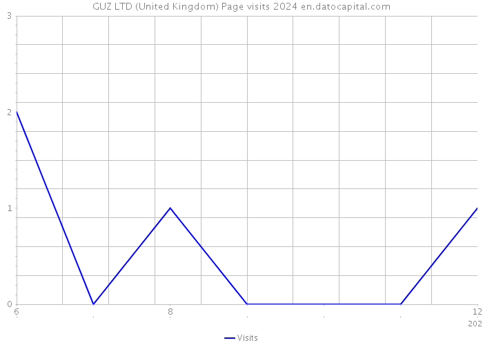 GUZ LTD (United Kingdom) Page visits 2024 