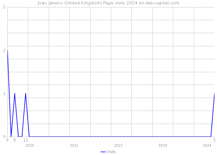 Joao Janeiro (United Kingdom) Page visits 2024 