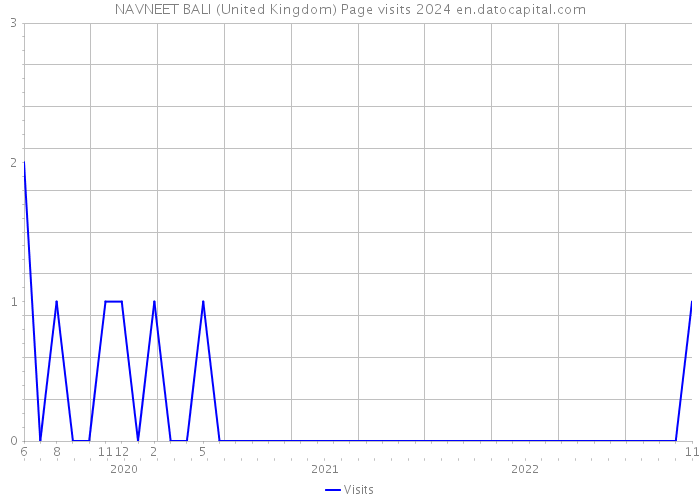 NAVNEET BALI (United Kingdom) Page visits 2024 