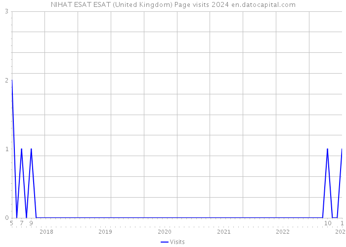 NIHAT ESAT ESAT (United Kingdom) Page visits 2024 