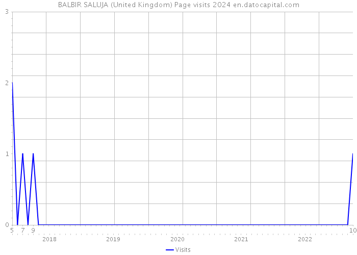 BALBIR SALUJA (United Kingdom) Page visits 2024 