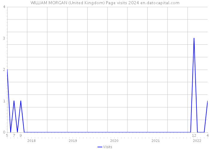 WILLIAM MORGAN (United Kingdom) Page visits 2024 