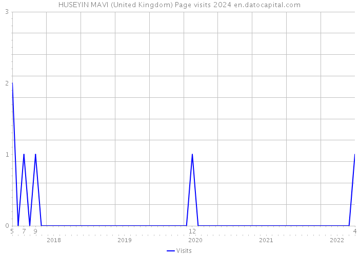 HUSEYIN MAVI (United Kingdom) Page visits 2024 
