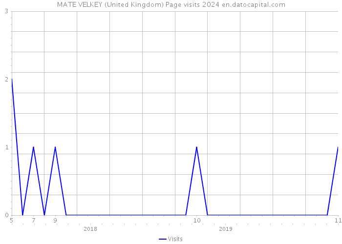 MATE VELKEY (United Kingdom) Page visits 2024 