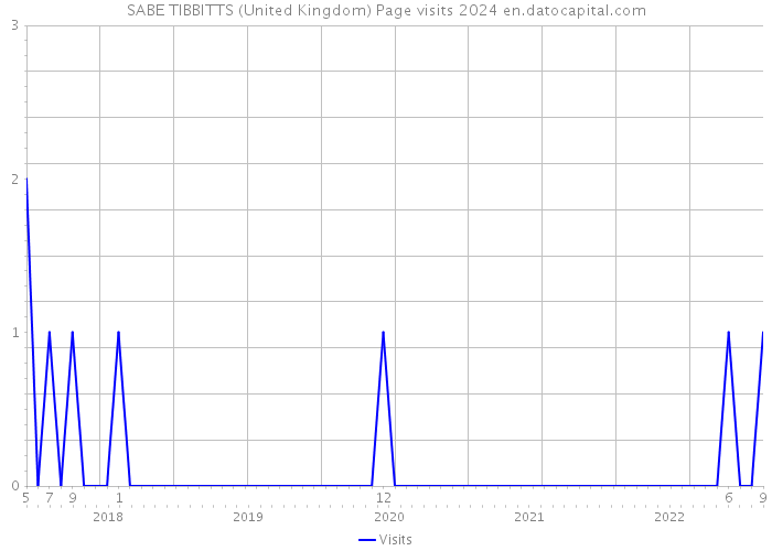 SABE TIBBITTS (United Kingdom) Page visits 2024 