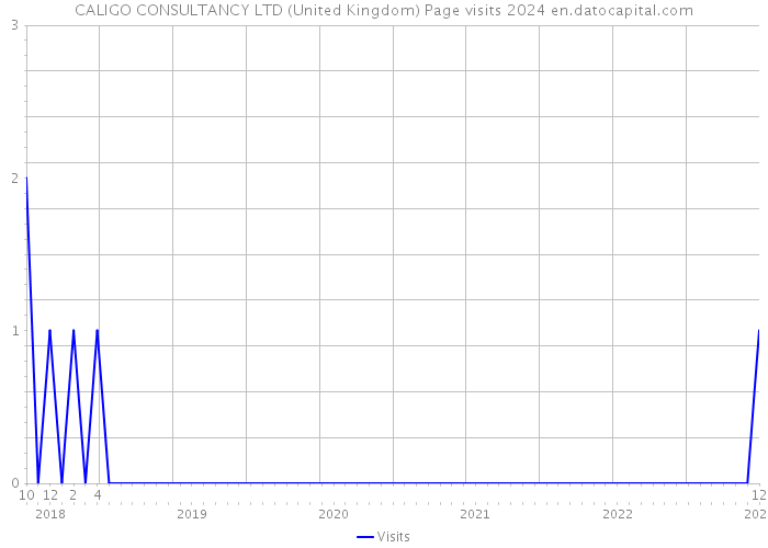 CALIGO CONSULTANCY LTD (United Kingdom) Page visits 2024 
