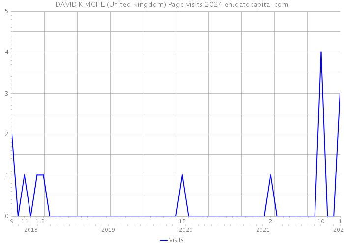 DAVID KIMCHE (United Kingdom) Page visits 2024 