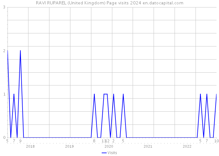 RAVI RUPAREL (United Kingdom) Page visits 2024 