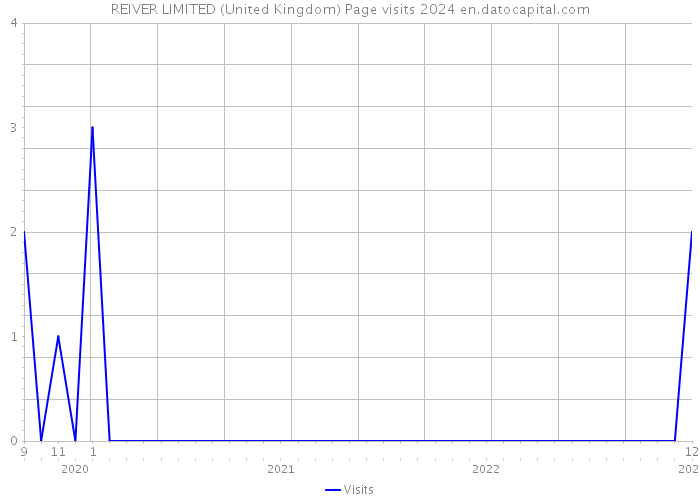 REIVER LIMITED (United Kingdom) Page visits 2024 