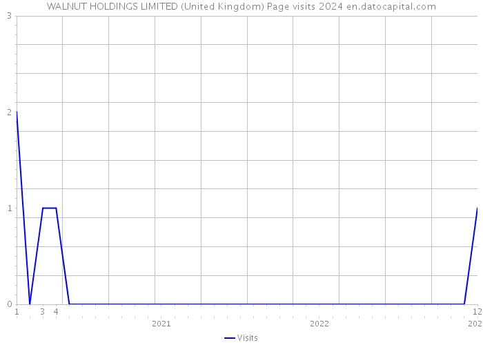 WALNUT HOLDINGS LIMITED (United Kingdom) Page visits 2024 