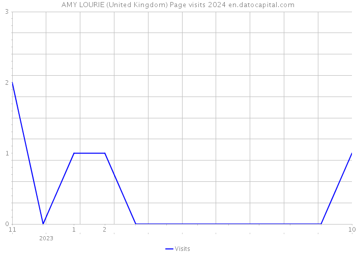 AMY LOURIE (United Kingdom) Page visits 2024 