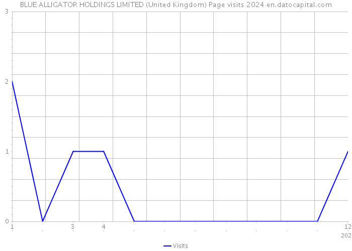 BLUE ALLIGATOR HOLDINGS LIMITED (United Kingdom) Page visits 2024 