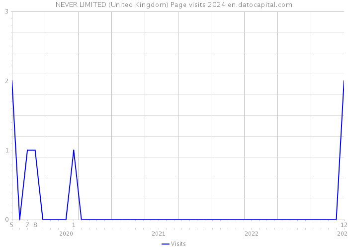 NEVER LIMITED (United Kingdom) Page visits 2024 