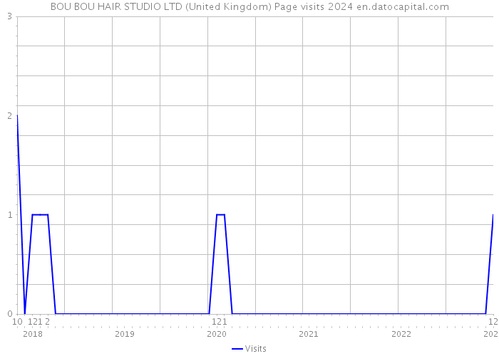 BOU BOU HAIR STUDIO LTD (United Kingdom) Page visits 2024 