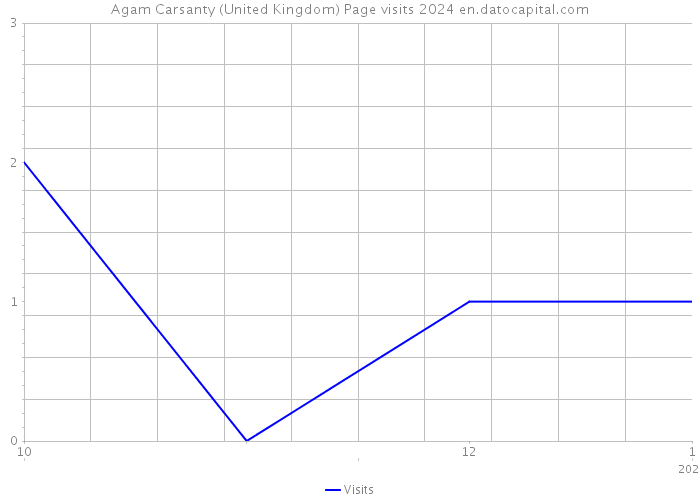 Agam Carsanty (United Kingdom) Page visits 2024 