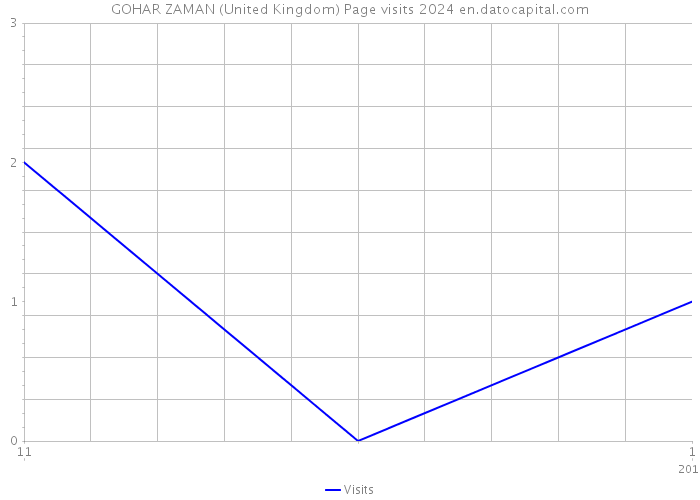 GOHAR ZAMAN (United Kingdom) Page visits 2024 