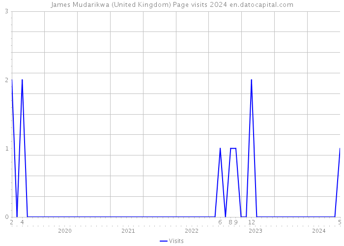 James Mudarikwa (United Kingdom) Page visits 2024 