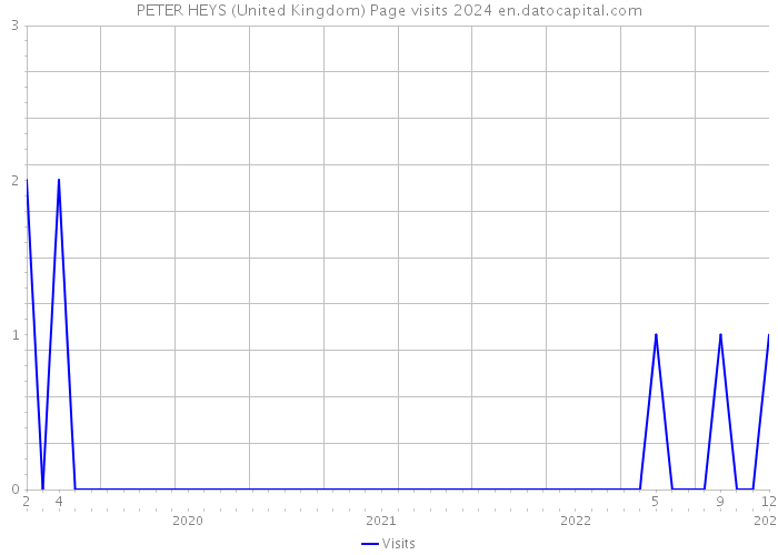 PETER HEYS (United Kingdom) Page visits 2024 