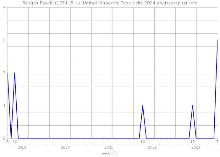 Behgjet Pacolli (1951-8-1) (United Kingdom) Page visits 2024 