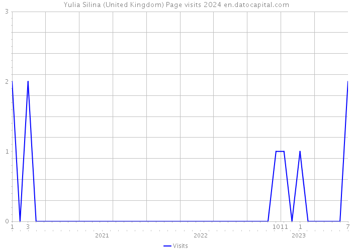 Yulia Silina (United Kingdom) Page visits 2024 
