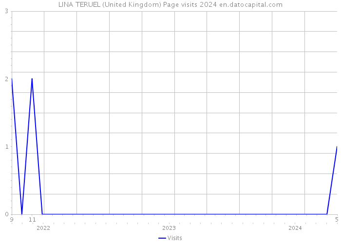 LINA TERUEL (United Kingdom) Page visits 2024 