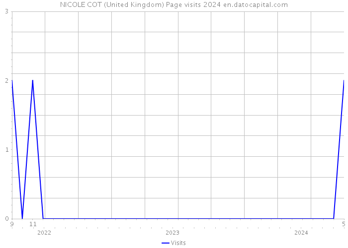 NICOLE COT (United Kingdom) Page visits 2024 