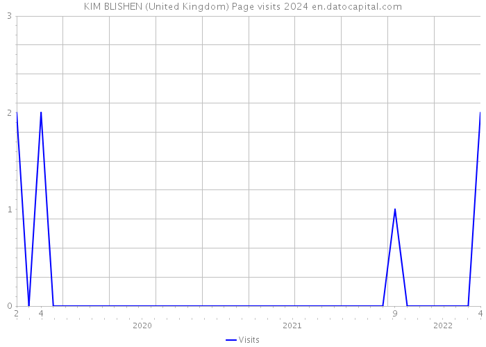 KIM BLISHEN (United Kingdom) Page visits 2024 