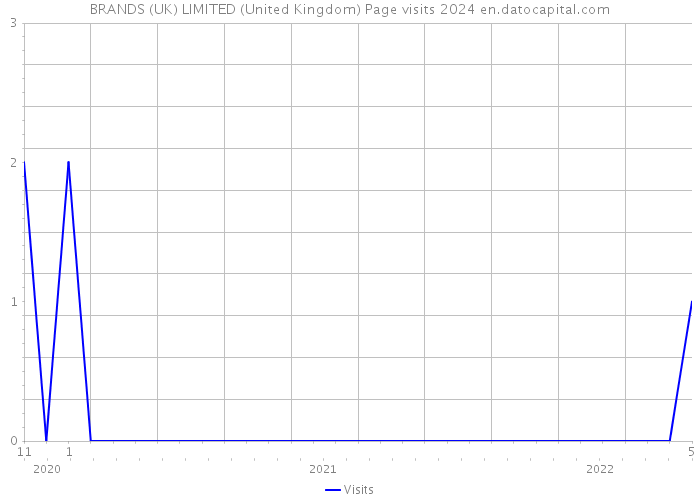 BRANDS (UK) LIMITED (United Kingdom) Page visits 2024 