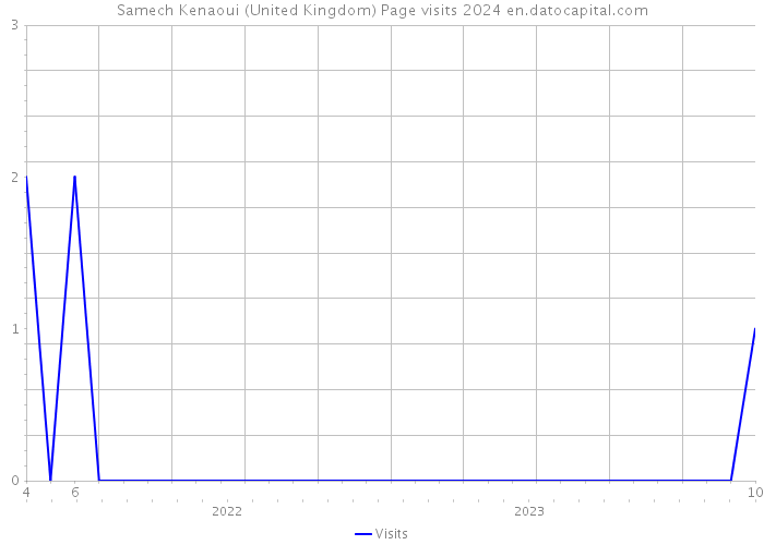 Samech Kenaoui (United Kingdom) Page visits 2024 