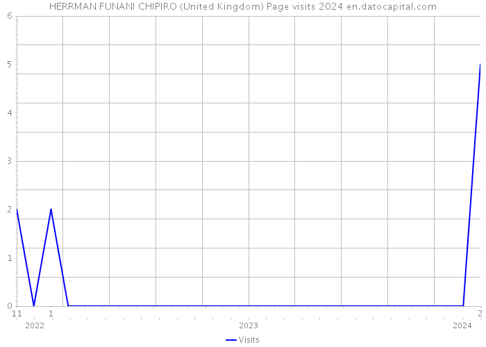 HERRMAN FUNANI CHIPIRO (United Kingdom) Page visits 2024 