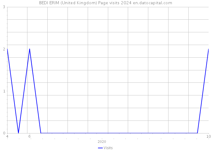 BEDI ERIM (United Kingdom) Page visits 2024 