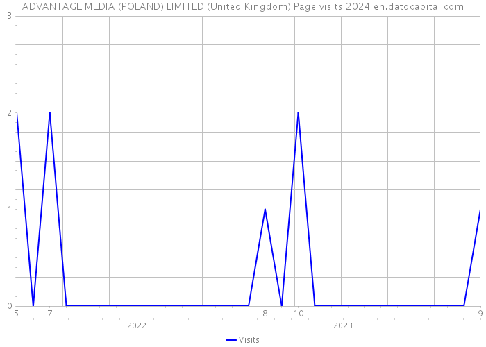ADVANTAGE MEDIA (POLAND) LIMITED (United Kingdom) Page visits 2024 