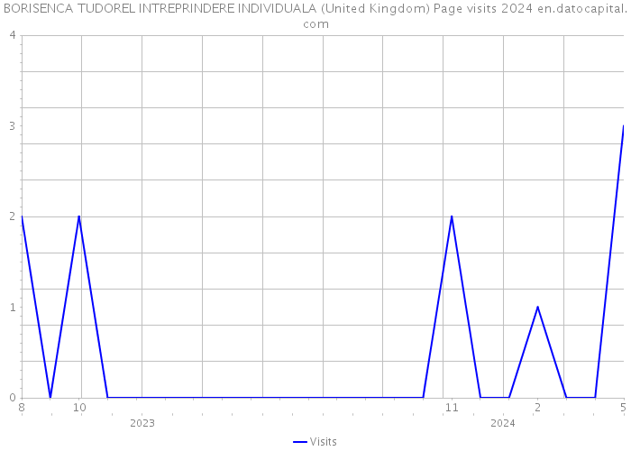 BORISENCA TUDOREL INTREPRINDERE INDIVIDUALA (United Kingdom) Page visits 2024 