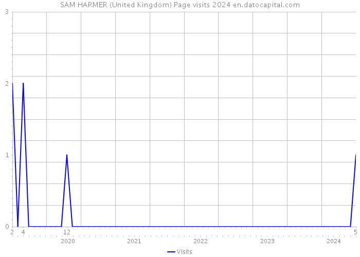 SAM HARMER (United Kingdom) Page visits 2024 