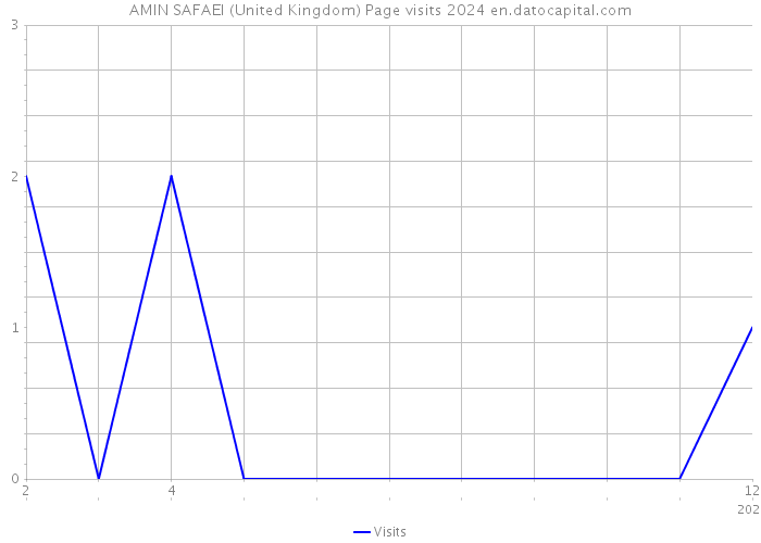 AMIN SAFAEI (United Kingdom) Page visits 2024 