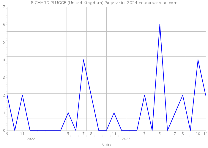 RICHARD PLUGGE (United Kingdom) Page visits 2024 