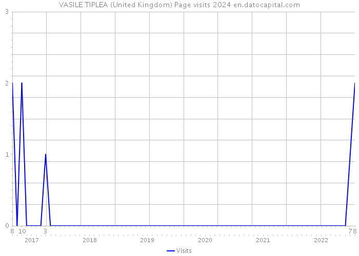 VASILE TIPLEA (United Kingdom) Page visits 2024 