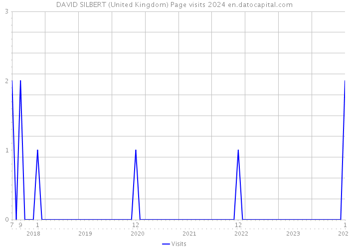 DAVID SILBERT (United Kingdom) Page visits 2024 