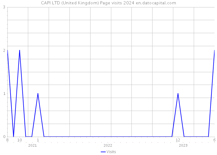 CAPI LTD (United Kingdom) Page visits 2024 