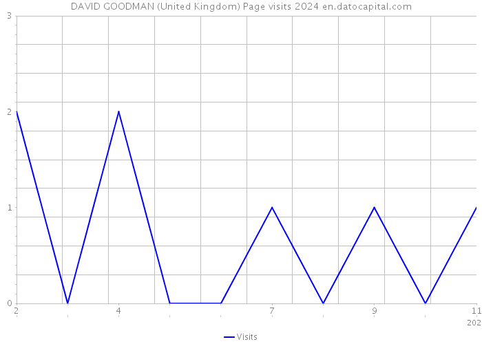 DAVID GOODMAN (United Kingdom) Page visits 2024 