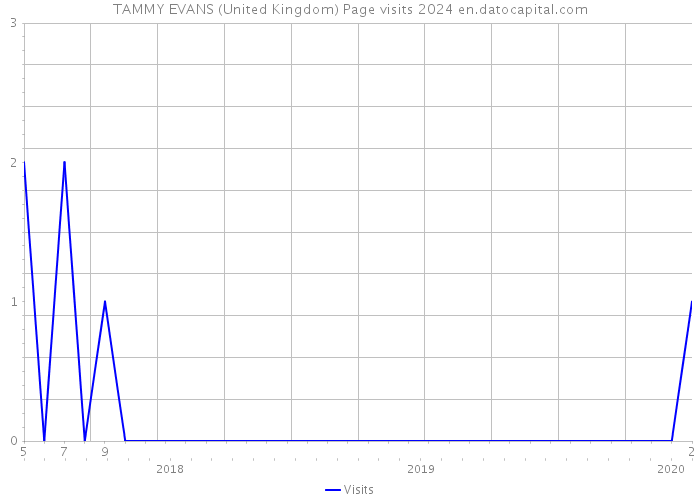 TAMMY EVANS (United Kingdom) Page visits 2024 