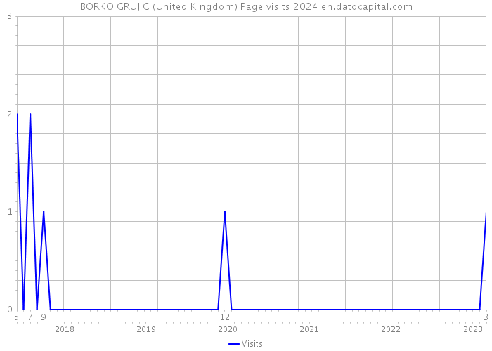 BORKO GRUJIC (United Kingdom) Page visits 2024 