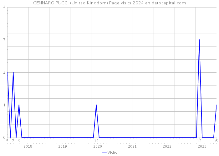 GENNARO PUCCI (United Kingdom) Page visits 2024 